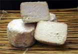 Les crottins de Chavignol